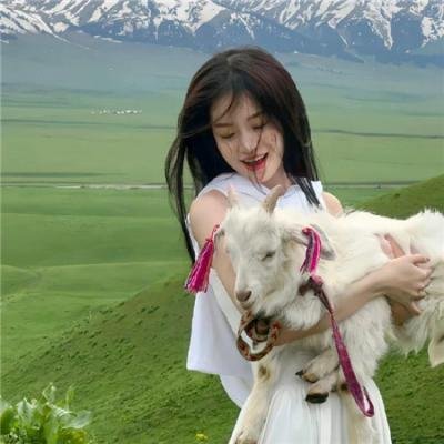 胖子、高甜爱情和错误！