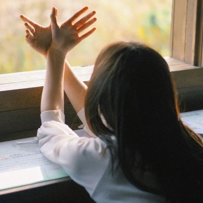 喜羊羊与灰太狼之决战次时代